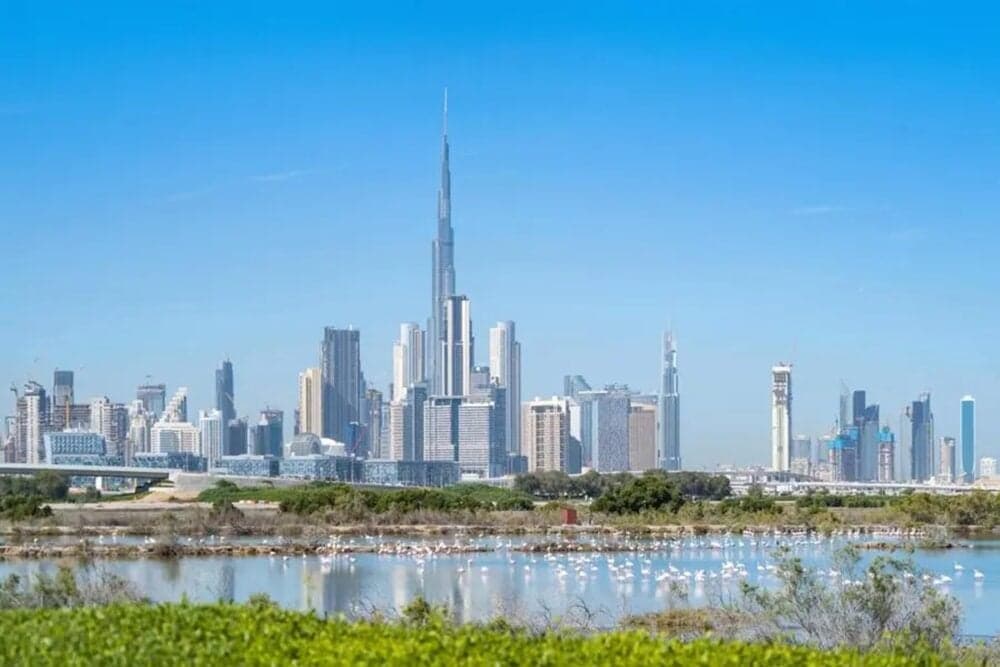 Dubai wellness-led districts drive high-value real estate demand in 2025